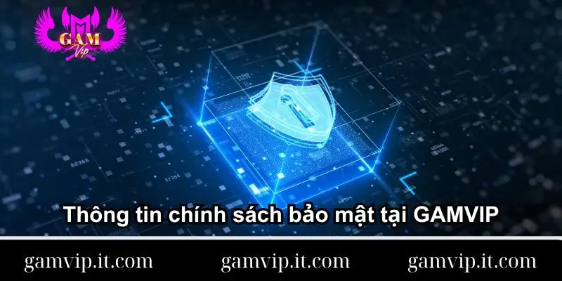 thong-tin-chinh-sach-bao-mat-tai-gamvip