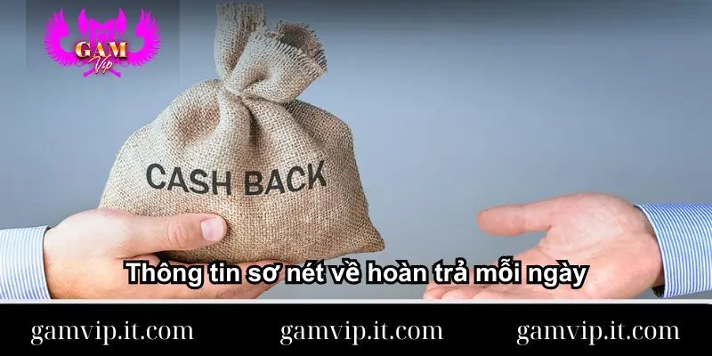 thong-tin-so-net-ve-hoan-tra-moi-ngay